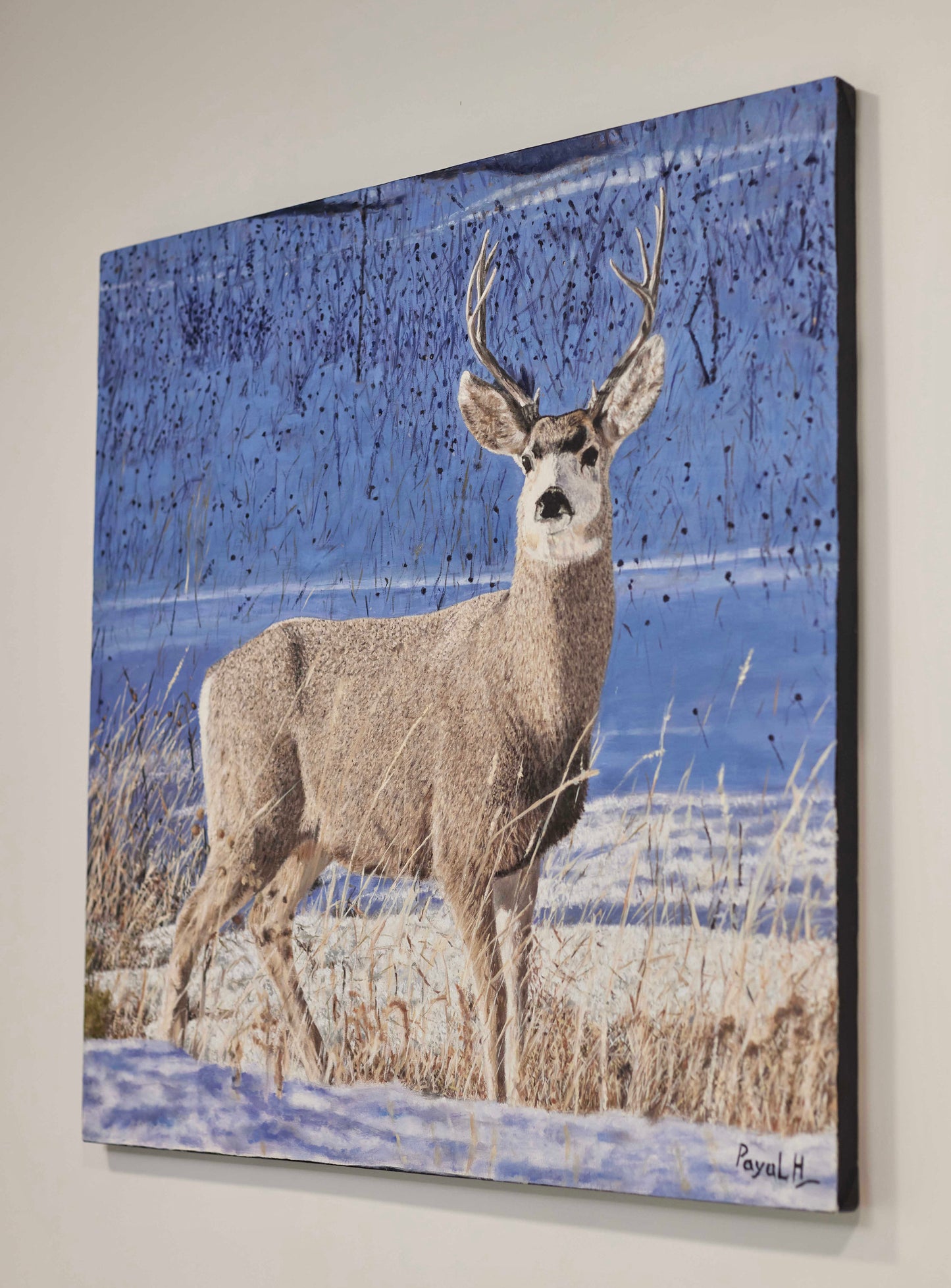 Bystander In The Snow